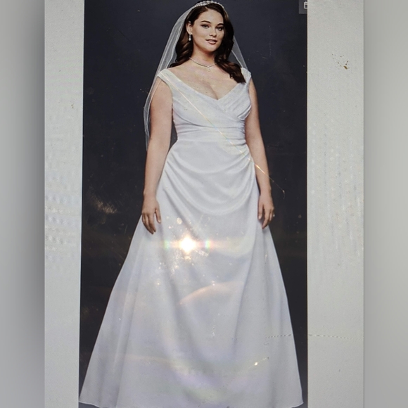 Wedding Dress - Picture 4 of 6